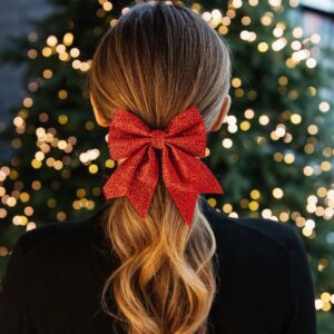 Festive Hair Image