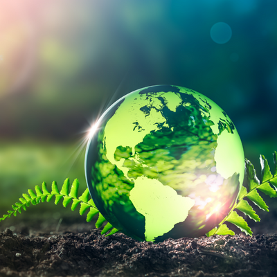 Our Sustainability Partners