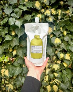 Davines Pouches