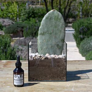 Hydraing Booster Prickly Pear Extract Naturaltech Tailoring Davines 1 1