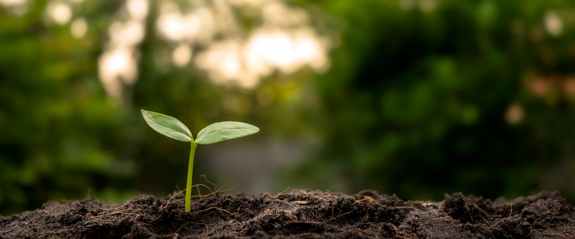 sustainability salon in Harrogate